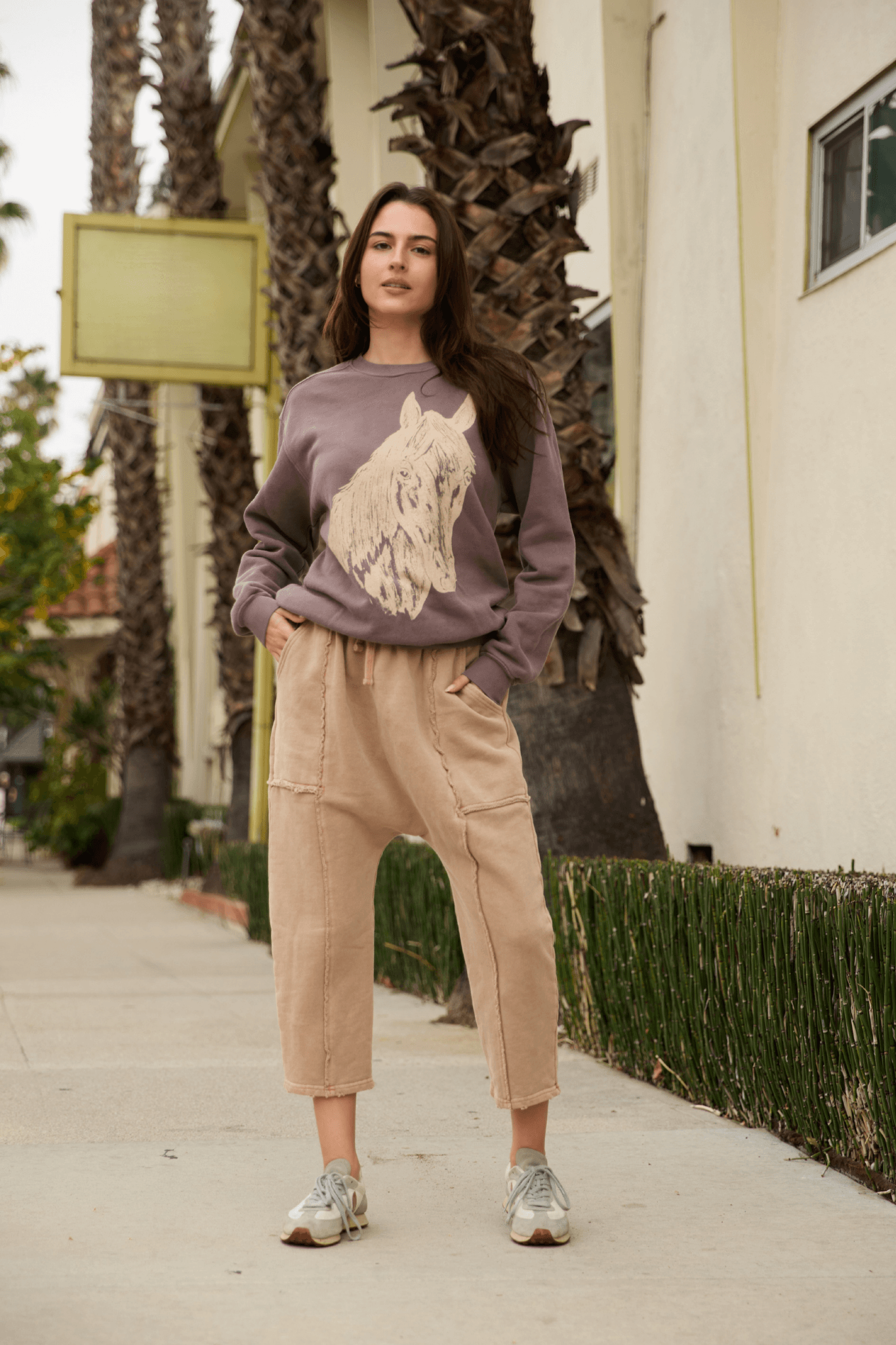 Stallion Sweatshirt