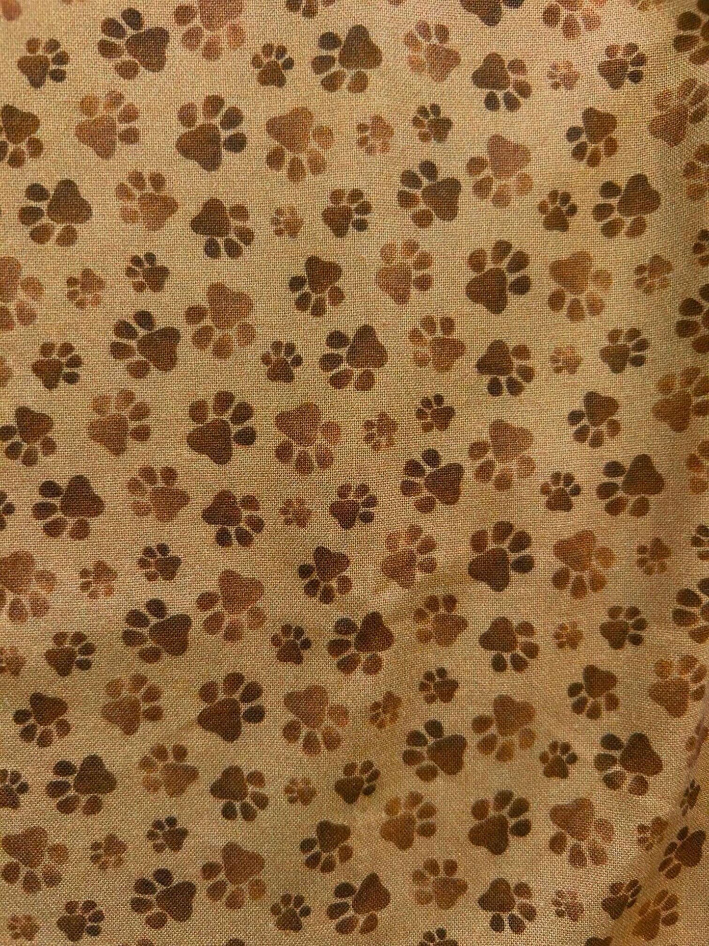 Paw Print Bow Top