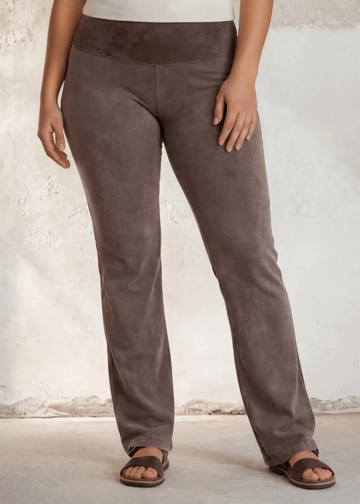 Ellie's Essential Cotton Stretch Bootcut Flare Plus Size Desert Taupe